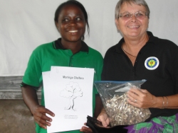 When Jenny Tryhane traveled to Africa in 2015 the African Community Moringa Project was first introduced here at Faith Power Preparatory Nursery School 