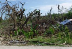 Fox News informed us Haitian and international agricultural officials say it could be a decade or more before the southwestern peninsula recovers economically from Hurricane Matthew.