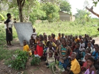 Africa Community Moringa Project: