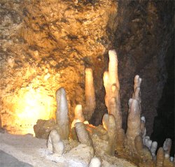 Barbados'  Harrison's Cave