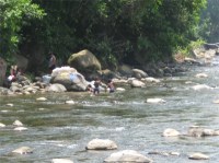 The river starts in the north east slopes of Morne Trois Pitons, located in the Central Forest Reserve