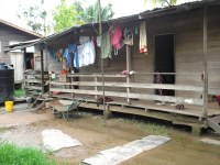 Suriname Bush Negroes' dwelling
