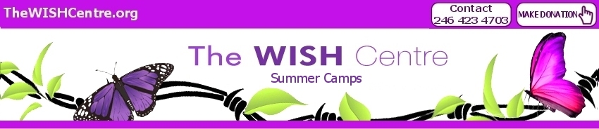 The WISH Centre Summer Camps 2013