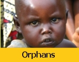 DRC orphans
