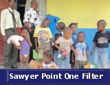 Sawyer PointOne water filters