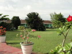 Angels Annex is located in a lovely tropical garden with wide open spaces for rest and recreation